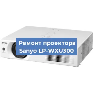 Замена поляризатора на проекторе Sanyo LP-WXU300 в Ижевске